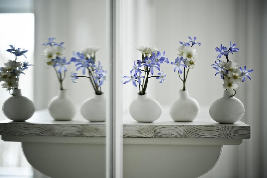 House Of The Snowbird Apartment เรคยาวิก ภายนอก รูปภาพ